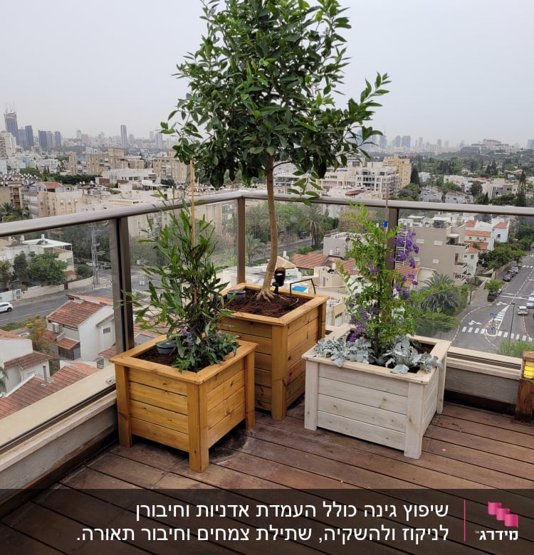 עציצים מעץ עם צמחים על מרפסת עץ